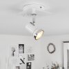 Lanrigan Plafoniera Cromo, Bianco, 1-Luce