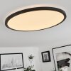 Tamesch Plafoniera LED Nero, 1-Luce, Telecomando