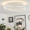 Rosemond Plafoniera LED Bianco, 1-Luce