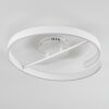 Rosemond Plafoniera LED Bianco, 1-Luce