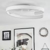 Rosemond Plafoniera LED Bianco, 1-Luce