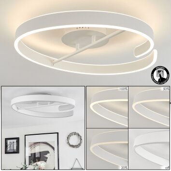 Rosemond Plafoniera LED Bianco, 1-Luce