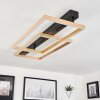 Cajean Plafoniera LED Nero, 1-Luce