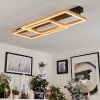 Cajean Plafoniera LED Nero, 1-Luce