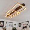 Cajean Plafoniera LED Nero, 1-Luce