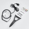 Phniet Faretto da giardino LED Nero, 1-Luce, Telecomando, Cambia colore