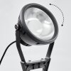 Phniet Faretto da giardino LED Nero, 1-Luce, Telecomando, Cambia colore