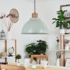 Chipou Lampada a Sospensione Verde, 1-Luce