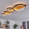 Rodekro Plafoniera LED Écru, Nero, 1-Luce