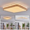 Kayyan Plafoniera LED Bianco, 1-Luce