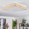 Kayyan Plafoniera LED Bianco, 1-Luce