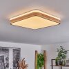 Kayyan Plafoniera LED Bianco, 1-Luce