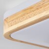 Kayyan Plafoniera LED Bianco, 1-Luce