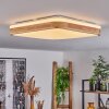 Kayyan Plafoniera LED Bianco, 1-Luce