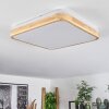 Kayyan Plafoniera LED Bianco, 1-Luce