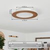 Varoyang Plafoniera LED Bianco, 1-Luce