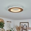 Varoyang Plafoniera LED Bianco, 1-Luce