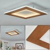 Varoyang Plafoniera LED Bianco, 1-Luce