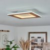 Varoyang Plafoniera LED Bianco, 1-Luce