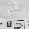 Dauntey Plafoniera LED Bianco, 1-Luce