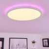 Hortinhas Plafoniera LED Bianco, 1-Luce, Telecomando, Cambia colore