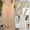 Lavaca Lampada da terra LED Ottone, 2-Luci