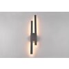 Trio Tawa Applique da esterno LED Antracite, 2-Luci