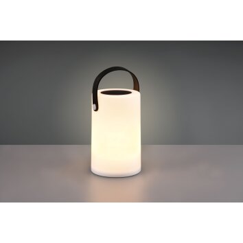 Reality Garcia Lampade solari LED Bianco, 1-Luce, Cambia colore