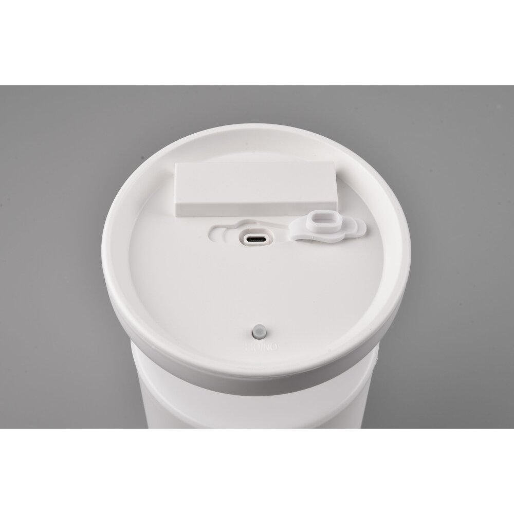 Reality Silva Lampade solari LED Bianco, 1-Luce