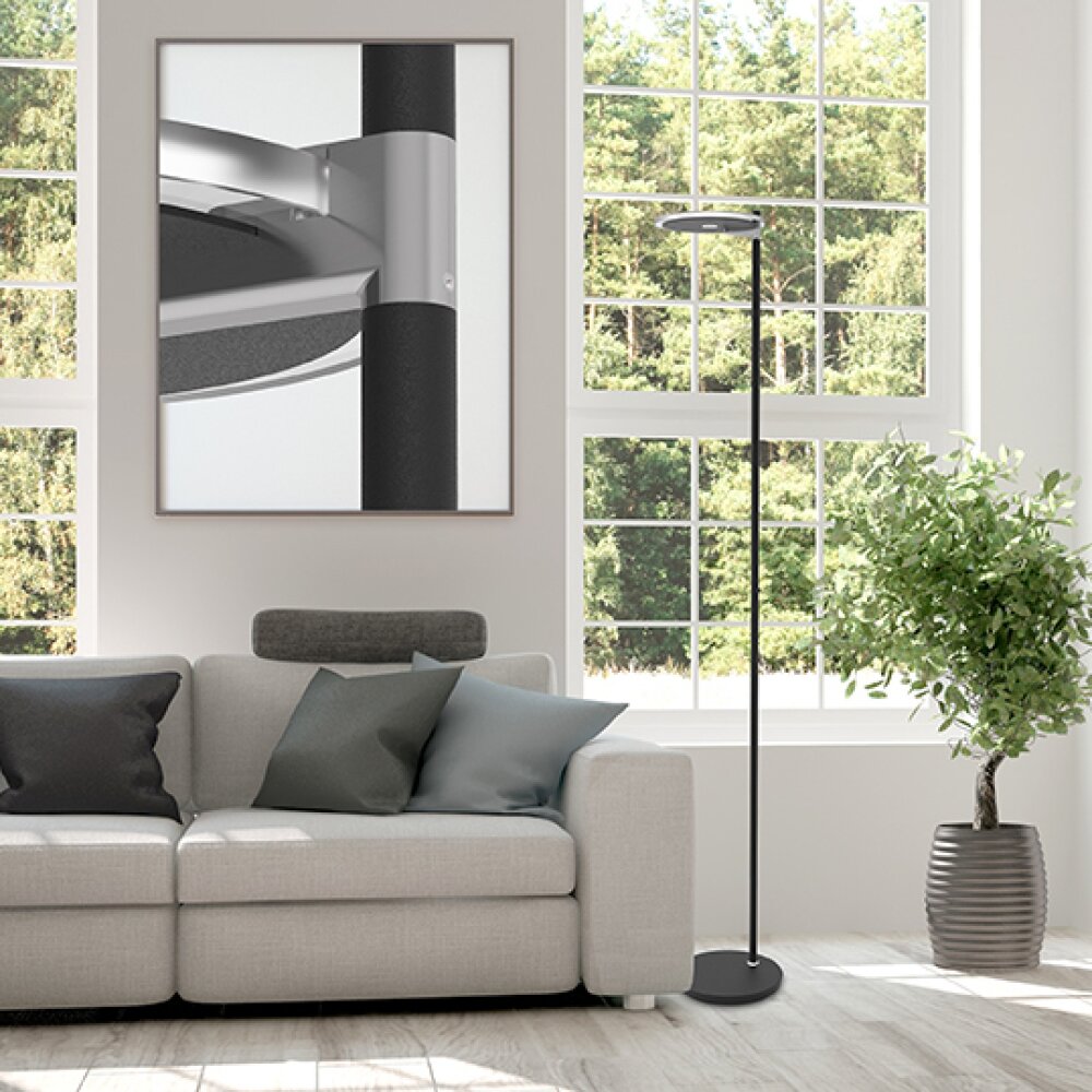 Steinhauer Turound Piantana LED Nero, 1-Luce main product photo