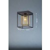 Fischer & Honsel Caydo Plafoniera Nero, 1-Luce