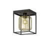 Fischer & Honsel Caydo Plafoniera Nero, 1-Luce