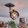 Dandin Plafoniera Nero, 1-Luce