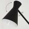 Vijes Lampada da terra Nero, 1-Luce