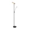 Steinhauer Daphne Piantana LED Nero, 2-Luci