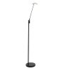 Steinhauer Daphne Lampada da terra LED Nero, 1-Luce