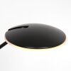 Steinhauer Daphne Lampada da terra LED Nero, 1-Luce