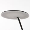 Steinhauer Daphne Lampada da terra LED Nero, 1-Luce