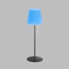 SCHÖNER WOHNEN-Kollektion Talent Lampada da tavolo LED Antracite, 1-Luce, Telecomando, Cambia colore