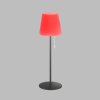 SCHÖNER WOHNEN-Kollektion Talent Lampada da tavolo LED Antracite, 1-Luce, Telecomando, Cambia colore