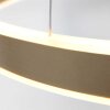 Steinhauer Ringlux Lampadario a sospensione LED Oro, 2-Luci