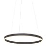 Steinhauer Ringlux Lampadario a sospensione LED Nero, 2-Luci