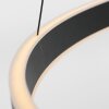 Steinhauer Ringlux Lampada a Sospensione LED Nero, 3-Luci