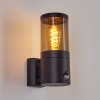 Tolsona Applique da esterno Nero, 1-Luce, Sensori di movimento