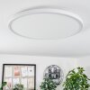 Hortinhas Plafoniera LED Bianco, 1-Luce, Telecomando, Cambia colore