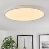 Hortinhas Plafoniera LED Bianco, 1-Luce, Telecomando, Cambia colore