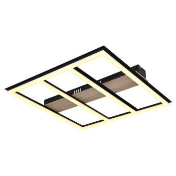 Globo FROOMY Plafoniera LED Aspetto del legno, Nero, 1-Luce