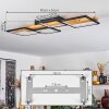 Pompu Plafoniera LED Nero, 1-Luce