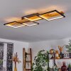 Pompu Plafoniera LED Nero, 1-Luce