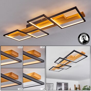 Pompu Plafoniera LED Nero, 1-Luce